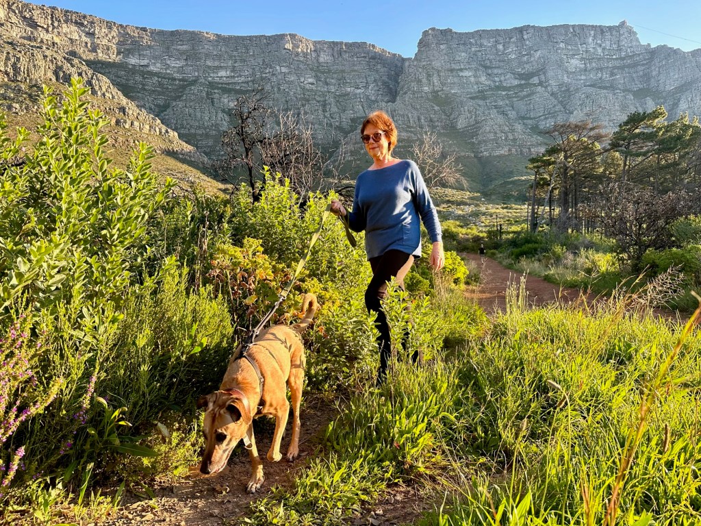 Sandy Griffiths and her dog Jessie walking on the lower slopes of Table Mountain, a place where she gets much of her inspiration.